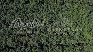 Free download Cape Byron Distillery Sugar Glider Cocktail Fundraiser video and edit with RedcoolMedia movie maker MovieStudio video editor online and AudioStudio audio editor onlin