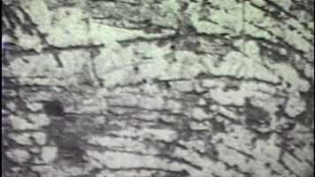 Free download Capsized video and edit with RedcoolMedia movie maker MovieStudio video editor online and AudioStudio audio editor onlin