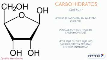 Free download Carbohidratos video and edit with RedcoolMedia movie maker MovieStudio video editor online and AudioStudio audio editor onlin