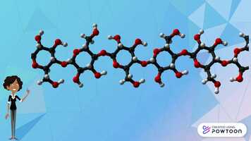 Free download Carboidratos video and edit with RedcoolMedia movie maker MovieStudio video editor online and AudioStudio audio editor onlin