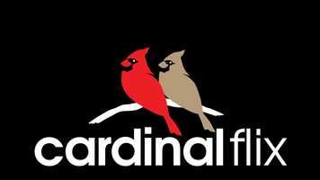 Free download Cardinal Flix Animated Logo w Music video and edit with RedcoolMedia movie maker MovieStudio video editor online and AudioStudio audio editor onlin