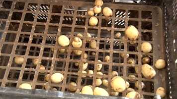 Free download Careers in Agriculture - Technology - York LEP video and edit with RedcoolMedia movie maker MovieStudio video editor online and AudioStudio audio editor onlin