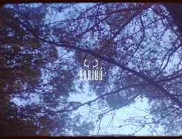 Free download CARIB SS20 (Fashion Film) video and edit with RedcoolMedia movie maker MovieStudio video editor online and AudioStudio audio editor onlin