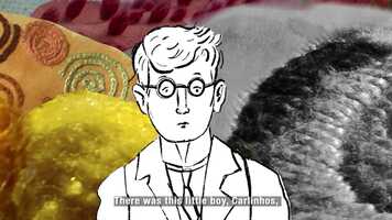 Free download CARLINHOS video and edit with RedcoolMedia movie maker MovieStudio video editor online and AudioStudio audio editor onlin