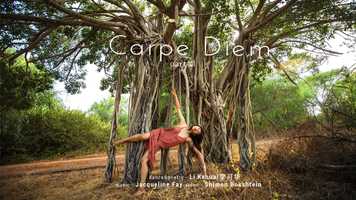 Free download Carpe Diem video and edit with RedcoolMedia movie maker MovieStudio video editor online and AudioStudio audio editor onlin