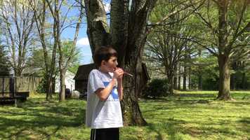 Free download Carson made an oboe straw for science video and edit with RedcoolMedia movie maker MovieStudio video editor online and AudioStudio audio editor onlin