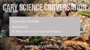 Free download Cary Science Conversation: Trees in Trouble video and edit with RedcoolMedia movie maker MovieStudio video editor online and AudioStudio audio editor onlin