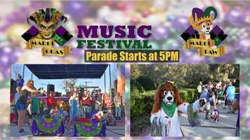 Free download Casselberry Mardi Gras Music Festival Promo 3-9-19 EDIT video and edit with RedcoolMedia movie maker MovieStudio video editor online and AudioStudio audio editor onlin