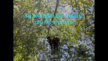 Free download Casting A Shadow - Digital Teaser (May 2021) video and edit with RedcoolMedia movie maker MovieStudio video editor online and AudioStudio audio editor onlin