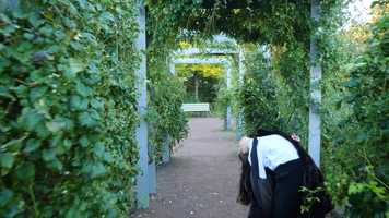 Free download Catapult video and edit with RedcoolMedia movie maker MovieStudio video editor online and AudioStudio audio editor onlin