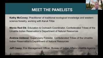 Free download Catching Fire panel recording video and edit with RedcoolMedia movie maker MovieStudio video editor online and AudioStudio audio editor onlin