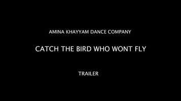 Free download CatchTheBirdWhoWontFlyTrailer.mp4 video and edit with RedcoolMedia movie maker MovieStudio video editor online and AudioStudio audio editor onlin