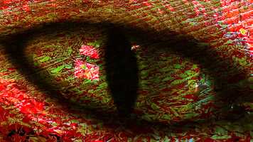 Free download cat eye (video art) video and edit with RedcoolMedia movie maker MovieStudio video editor online and AudioStudio audio editor onlin