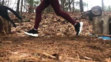 Free download Cat Jumping Video 1 video and edit with RedcoolMedia movie maker MovieStudio video editor online and AudioStudio audio editor onlin