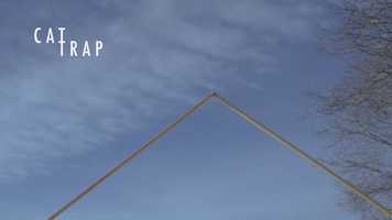 Free download CAT TRAP video and edit with RedcoolMedia movie maker MovieStudio video editor online and AudioStudio audio editor onlin