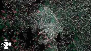 Free download CC x Visualia  Brenda El Rayes / Sol Sarratea video and edit with RedcoolMedia movie maker MovieStudio video editor online and AudioStudio audio editor onlin