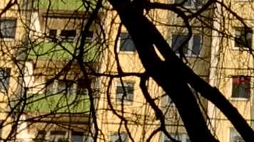 Free download CEEYS - Q3Ambientfest 2020 (Official Trailer) video and edit with RedcoolMedia movie maker MovieStudio video editor online and AudioStudio audio editor onlin