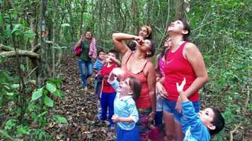 Free download Ceiba Announces Lalo Loor Reserve Conservation Easement video and edit with RedcoolMedia movie maker MovieStudio video editor online and AudioStudio audio editor onlin