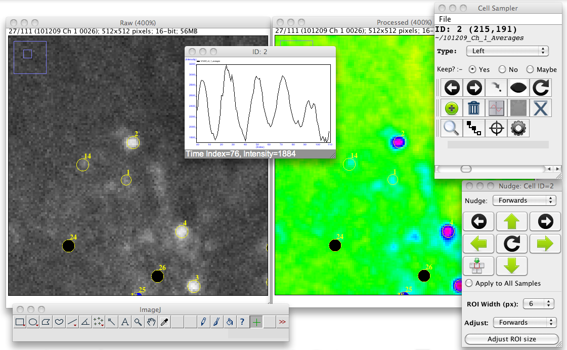 Download web tool or web app Cell Sampler Download web tool or web app Cell Sampler