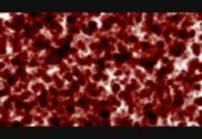 Free download Cells (Royalty Free Looping Background) video and edit with RedcoolMedia movie maker MovieStudio video editor online and AudioStudio audio editor onlin