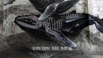 Free download Celsius Thermochromic mural painting (NEVERCREW 2019) video and edit with RedcoolMedia movie maker MovieStudio video editor online and AudioStudio audio editor onlin