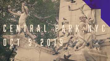 Free download Central Park NYC 2019 video and edit with RedcoolMedia movie maker MovieStudio video editor online and AudioStudio audio editor onlin