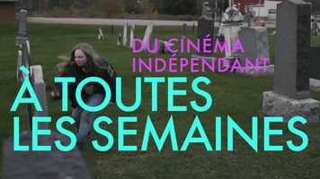 Free download Ce printemps  Paraloeil video and edit with RedcoolMedia movie maker MovieStudio video editor online and AudioStudio audio editor onlin