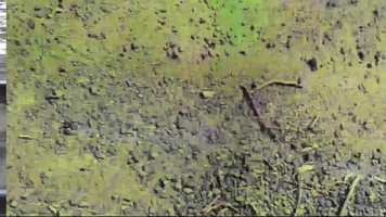 Free download Cesta - Kateřina Coufalov, cvičen abstrakce na zvuk video and edit with RedcoolMedia movie maker MovieStudio video editor online and AudioStudio audio editor onlin