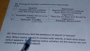 Free download Ch 1 Part 4 video and edit with RedcoolMedia movie maker MovieStudio video editor online and AudioStudio audio editor onlin
