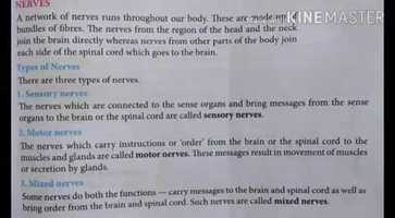 Free download Ch. 5 the Nervous System video and edit with RedcoolMedia movie maker MovieStudio video editor online and AudioStudio audio editor onlin