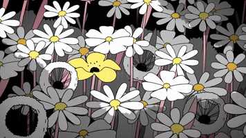 Free download Champs de fleurs sauvages video and edit with RedcoolMedia movie maker MovieStudio video editor online and AudioStudio audio editor onlin