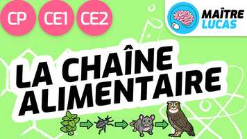 Free download Chane alimentaire - Questionner le monde CP - CE1 - Cycle 2 - Le monde du vivant video and edit with RedcoolMedia movie maker MovieStudio video editor online and AudioStudio audio editor onlin