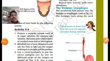 Free download Chap 2 Nutrition in animals lesson 6 video and edit with RedcoolMedia movie maker MovieStudio video editor online and AudioStudio audio editor onlin