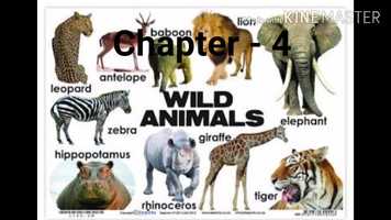 Free download Chapter 4, Wild Animals Tick the correct and cross wrong one video and edit with RedcoolMedia movie maker MovieStudio video editor online and AudioStudio audio editor onlin