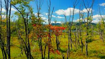 Free download Charles Pond, Maine video and edit with RedcoolMedia movie maker MovieStudio video editor online and AudioStudio audio editor onlin