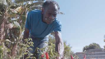 Free download Charlies Garden (trailer) video and edit with RedcoolMedia movie maker MovieStudio video editor online and AudioStudio audio editor onlin