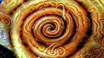 Free download CHARYBDIS-3 video and edit with RedcoolMedia movie maker MovieStudio video editor online and AudioStudio audio editor onlin