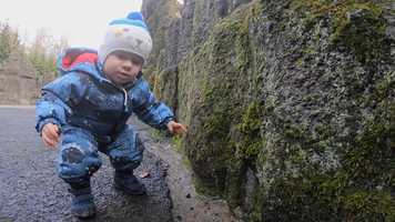 Free download Chassalla video and edit with RedcoolMedia movie maker MovieStudio video editor online and AudioStudio audio editor onlin