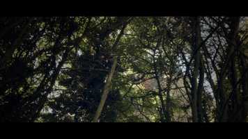 Free download Chateau - Urbex video and edit with RedcoolMedia movie maker MovieStudio video editor online and AudioStudio audio editor onlin