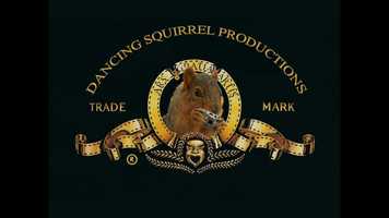 Free download Cheesy Dog Video video and edit with RedcoolMedia movie maker MovieStudio video editor online and AudioStudio audio editor onlin