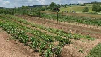 Free download Chef Daniel Takes a Walk Through the Garden video and edit with RedcoolMedia movie maker MovieStudio video editor online and AudioStudio audio editor onlin