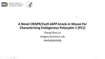 Free download Cheng-Chao Lin - Basic Science Presentation video and edit with RedcoolMedia movie maker MovieStudio video editor online and AudioStudio audio editor onlin