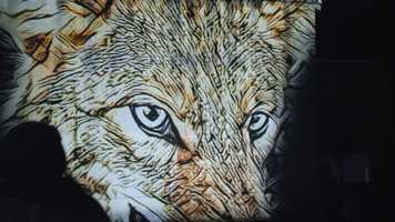 Free download Cheriton Light Festival 2020 video and edit with RedcoolMedia movie maker MovieStudio video editor online and AudioStudio audio editor onlin