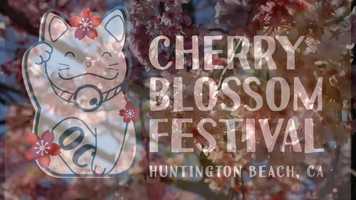 Free download Cherry Blossom Festival 2019 Huntington Beach California video and edit with RedcoolMedia movie maker MovieStudio video editor online and AudioStudio audio editor onlin