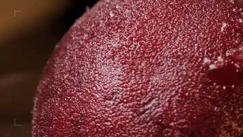 Free download Cherry On A Stick Stock Video video and edit with RedcoolMedia movie maker MovieStudio video editor online and AudioStudio audio editor onlin