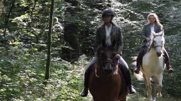 Free download Chevaux Film 2020 video and edit with RedcoolMedia movie maker MovieStudio video editor online and AudioStudio audio editor onlin