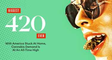 Free download CHILL FILM 4 video and edit with RedcoolMedia movie maker MovieStudio video editor online and AudioStudio audio editor onlin