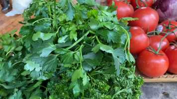 Free download Chimichurri Video- Final video and edit with RedcoolMedia movie maker MovieStudio video editor online and AudioStudio audio editor onlin