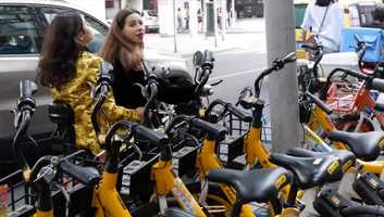 Free download CHINOISES 西花 by the @thepond3 video and edit with RedcoolMedia movie maker MovieStudio video editor online and AudioStudio audio editor onlin