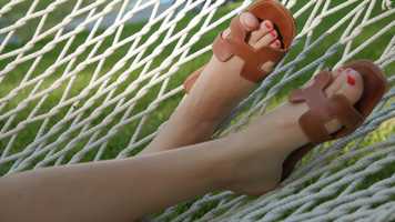 Free download Chinquapin Web Video video and edit with RedcoolMedia movie maker MovieStudio video editor online and AudioStudio audio editor onlin